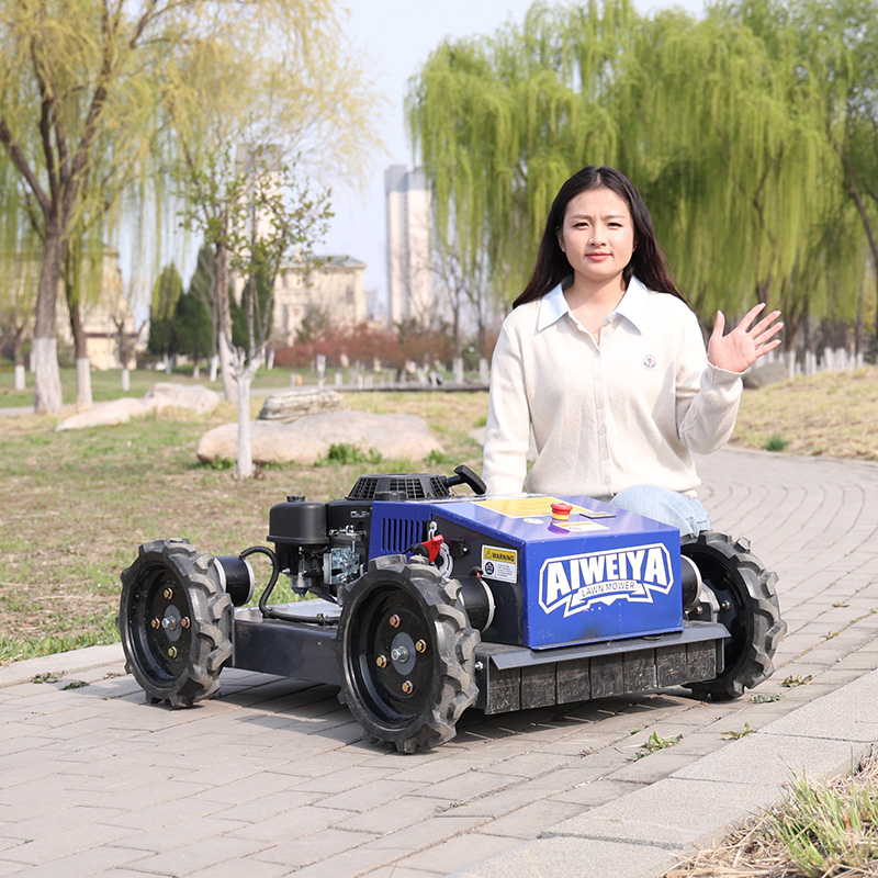 เครื่องตัดหญ้าอัตโนมัติแบบกำหน - Smart Garden Trimmer บทวิจารณ์และราคา