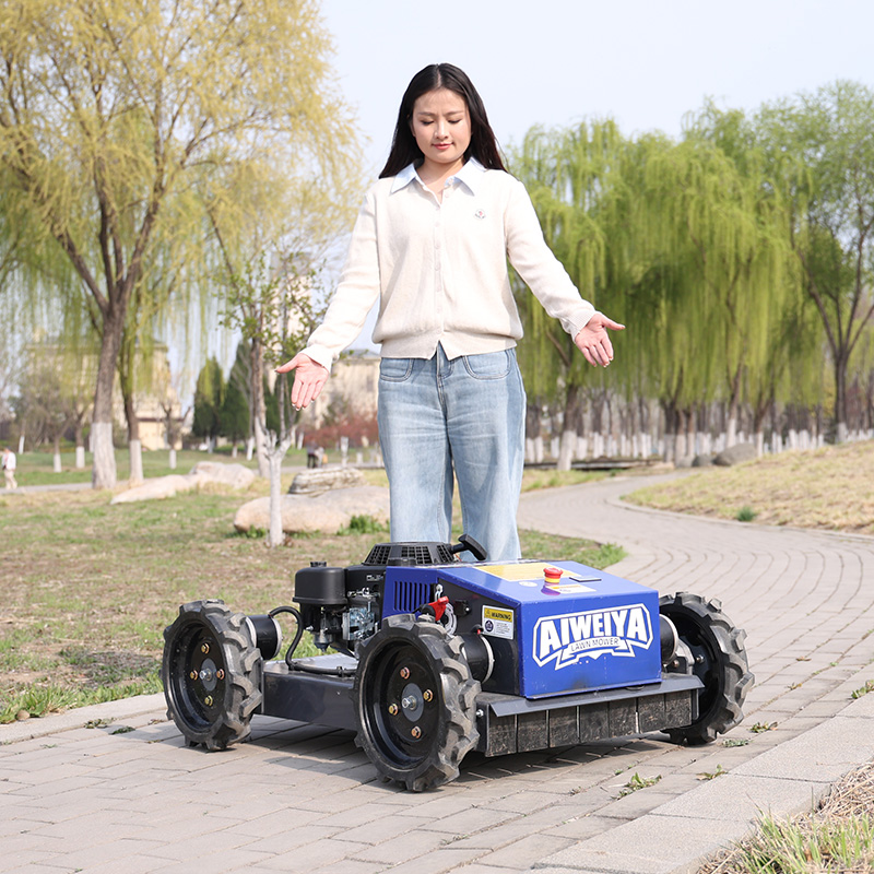 เครื่องตัดหญ้าอัตโนมัติแบบกำหน - Smart Garden Trimmer บทวิจารณ์และราคา
