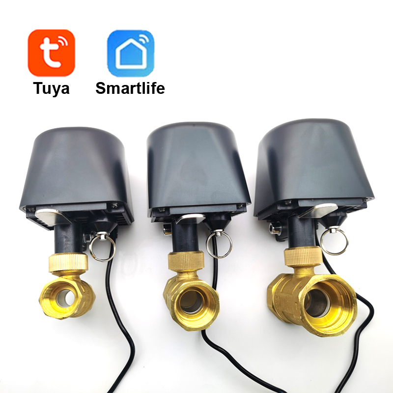 Tuya WiFi หรือ Zigbee วาล์วน้ํ - Wifi Irrigation Timer บทวิจารณ์และราคา
